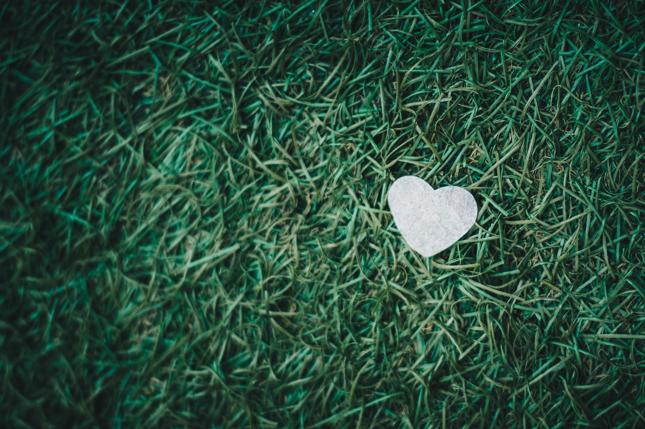 isaac-benhesed-h9rr7czz914-unsplash